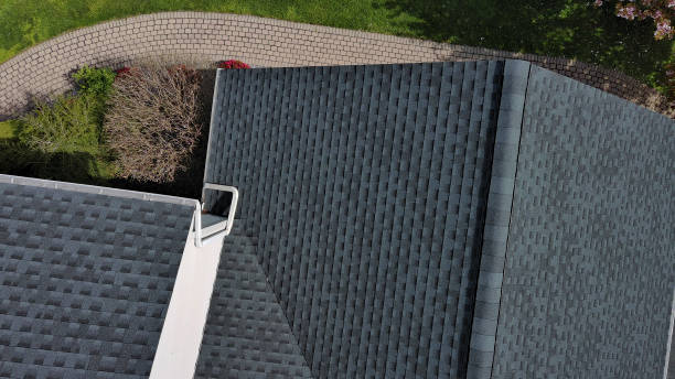 Best Solar Panel Roofing Installation  in Murphy, MO