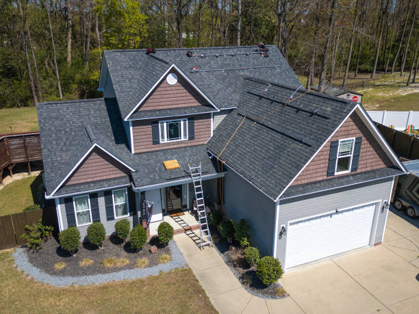 Best Roof Moss and Algae Removal  in Murphy, MO
